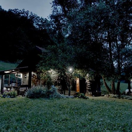 Villa Pepeljuga Kuca Za Odmor Vizovlje 外观 照片